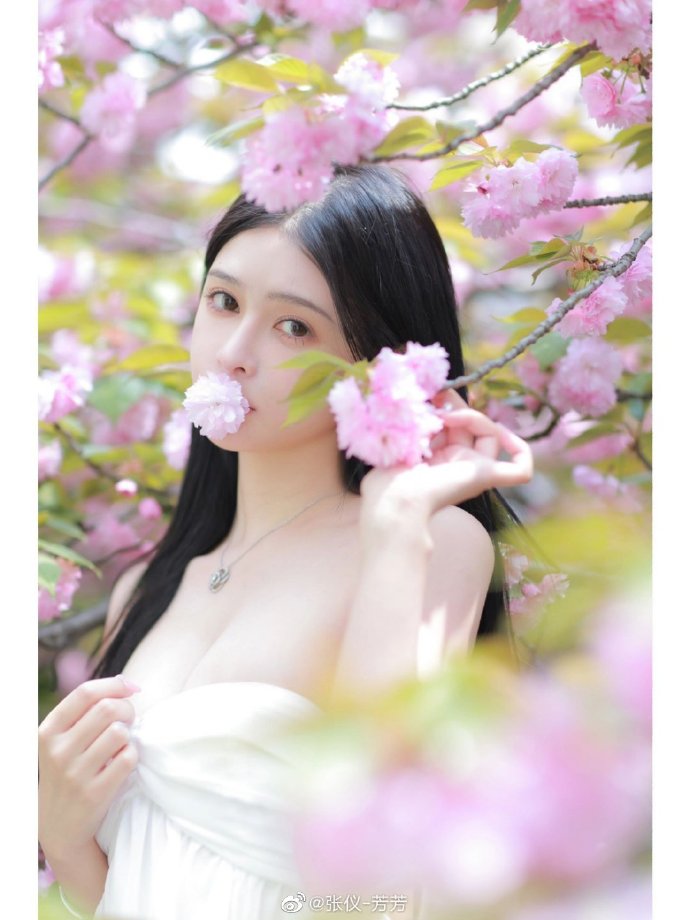 雍正王朝 封面